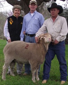 The High Indexing Ram at the 2012 Texas AgriLife Ram Performance Test was TAES 1104 (test #2). He was purchased by Lorelei Hankins, Rocksprings, TX, for $850. Pictured: Lorelei Hankins, Jake Stewart, and Juan Bonilla, Sawyer Ranch Foreman Photo Credit: B. Taylor, Texas AgriLife Research