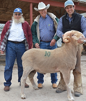 The High Indexing Rambouillet ram on the 2015-2016 test was Schunke 3530. Pictured (l to r) Jim Schunke, Mark White, Jake Thorne. He sold to Mark White for $500. Photo credit: Steve Byrns