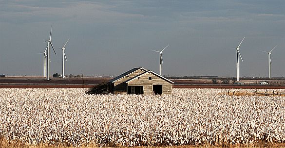 cotton & wind turbine