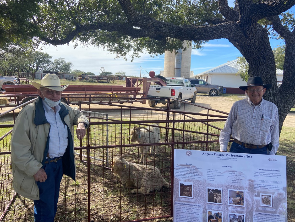 Goats – Texas A&M Agrilife Extension Service