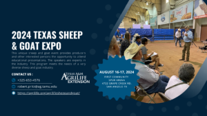 Thumbnail image: Flyer for the 2024 Sheep and Goat Expo